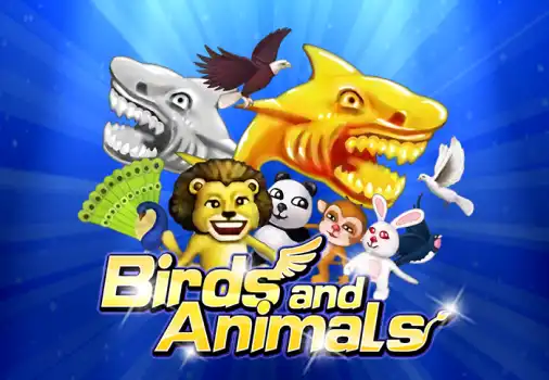 Birds And Animals